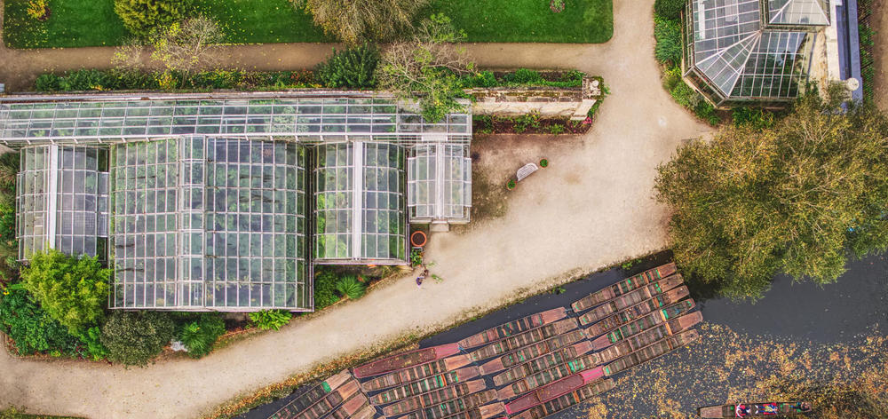 牛津大学 botanic_garden_-_glasshouses_-_drone_-_punts_-_autumn.jpg